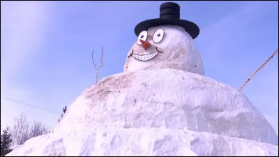 Le "................" et le Président, Le ".................." et la neige