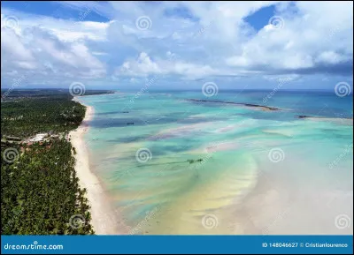 Qui chante "Brésil, Finistère" en 2021 ?