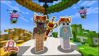 Qui est cette youtubeuse Minecraft ?