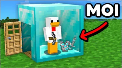 Qui est ce youtubeur Minecraft ?