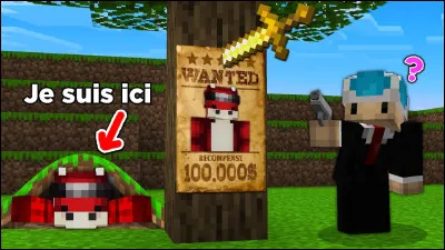 Qui est ce youtubeur Minecraft ?