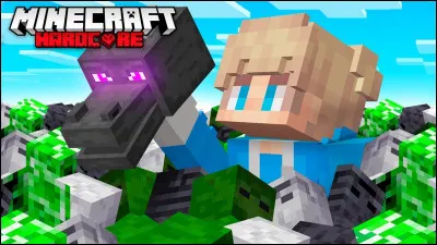 Qui est ce youtubeur Minecraft ?