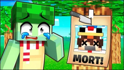 Qui est ce youtubeur Minecraft ?