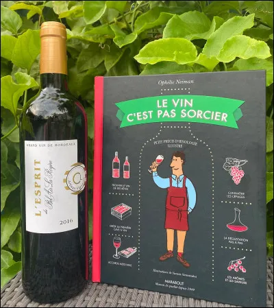 Qui est l'autrice du livre "Le Vin c'est pas sorcier", paru en août 2023 ?