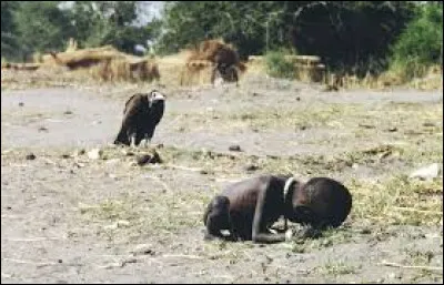 " La Fillette et le Vautour " est une photographie prise en mars 1993 par un photographe sud-africain et parue pour la première fois dans le New York Times du 26 mars 1993. Quel est le nom de ce photographe ?