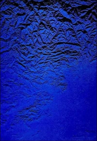 Qui a peint Monochrome bleu ?