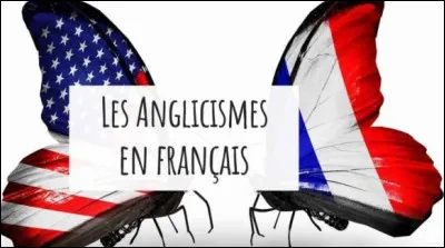 Quel est l'anglicisme qui désigne une uvre cinématographique de fiction, centrée sur la description biographique d'une personne qui a réellement existé ?