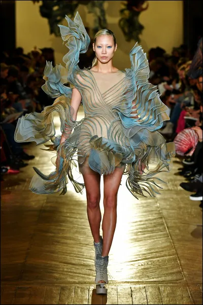 Combien vaut une robe d'Iris ?