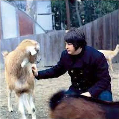 Quel groupe, pilier du surf rock au début de sa carrière, était mené par Brian Wilson ?