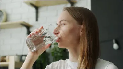 Qu'est-ce qu'un bodia ?