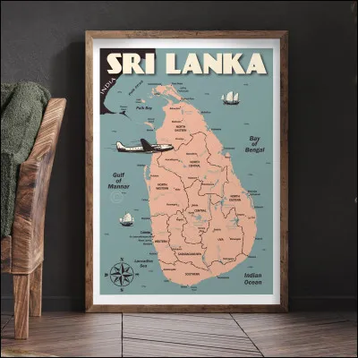 Quel est le drapeau du Sri Lanka ?