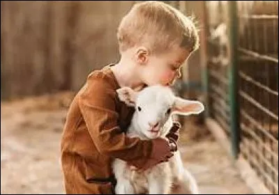 Aimes-tu les animaux ? (Oui je sais, elle est similaire à la question précédente.)