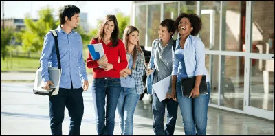 Tu as une amie qui te dit qu'elle est therian, tu :