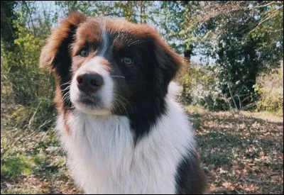 Combien y a-t-il de cadre(s) au-dessus du panier de Nelly ?