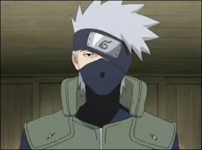 Quel chien n'appartient pas à Kakashi ?