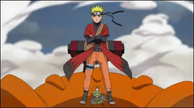 Lors de l'invasion de Konoha par Pain, duquel de ces crapauds Naruto n'est-il pas accompagné ?