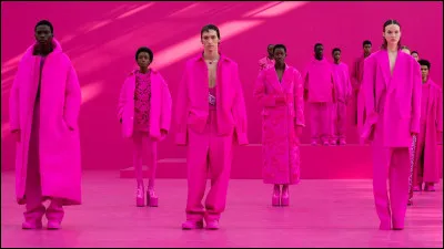 Valentino a fait une apparition dans son propre rôle dans un film, lequel ?