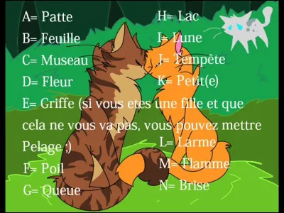 Quel est ton nom ? (Réponds pour de vrai.) (1)