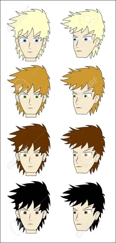 Quelle est ta couleur de cheveux préférée ?