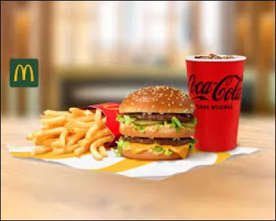 Le tout premier McDonald's a vu le jour en Floride aux États-Unis.