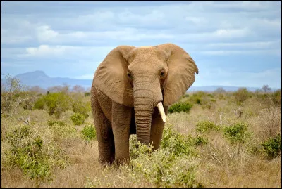 Comment prenez-vous des décisions importantes ?