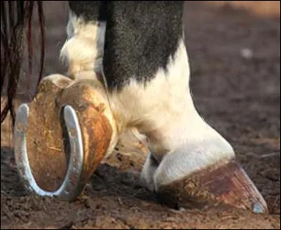 Coche la bonne réponse :