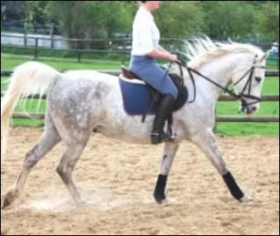 Un exemple de transition intra allure :