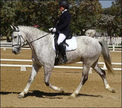 Pour trotter sur le bon diagonal il faut :