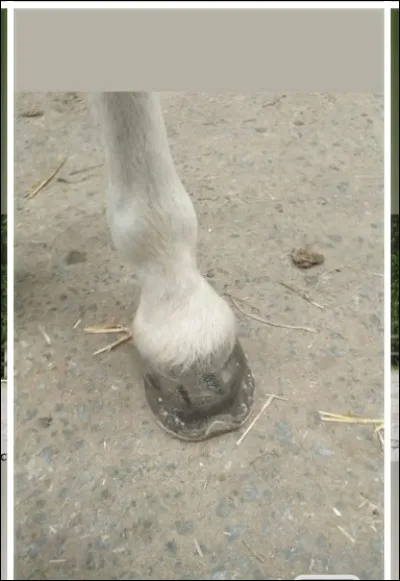 Coche la proposition qui est fausse :