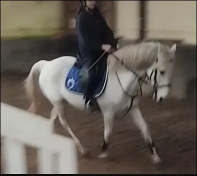 Coche ce qui est faux :