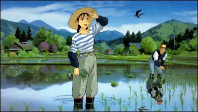 Dans quel film trouve-t-on cette rizière ?