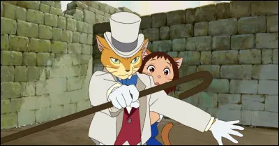 D'où vient ce chat ?