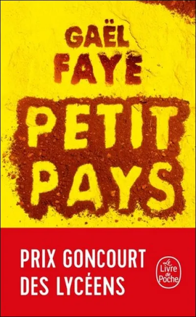 Quel est le thème du roman "Petit Pays" écrit par Gaël Faye ?