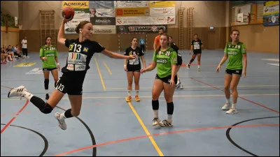 Combien de joueurs y a-t-il sur le terrain pour chaque équipe pendant un match de handball (y compris le gardien) ?