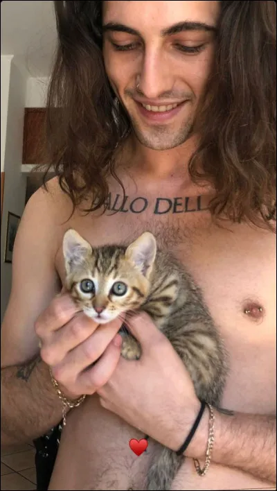 Il en a en fait trois ! Mais comment a-t-il nommé le chat ci-dessus ?