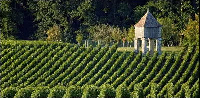 L'appellation Montagne-Saint-Émilion est située en Bourgogne.