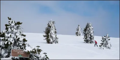 La montagne de Lure est située dans le département des Hautes-Alpes.