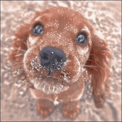 Tu pr&eacute;f&egrave;res :