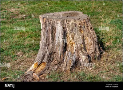 Lui, il est né à Paris en 1943 et je serais bien hardi de dire qu'il sait à quelle heure Paris s'éveille. Qui est la plus jeune des vieilles canailles ?
