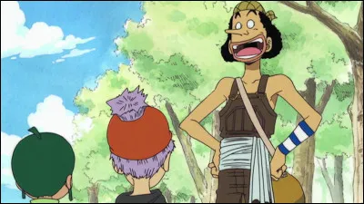 Et pour finir comment s'appellent les membres de l'équipage de Usopp, au début de la série ?