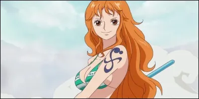 Qui est la sur de Nami ?