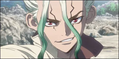 Quel est le nom de famille de Senku ?