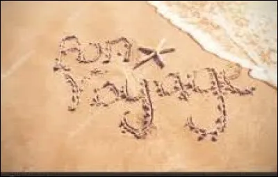 Et pour finir, où voudrais-tu voyager pendant une année ?

Ce qui est entre parenthèses c'est la ville où elles ont grandi.