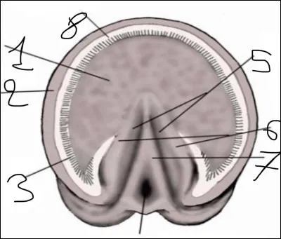Comment sappelle le n°1 ?