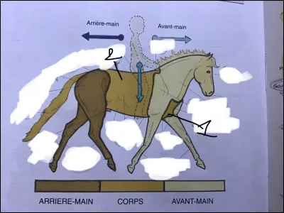 Et le n°1 s'appelle...