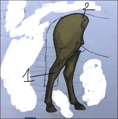 Quel est le nom du n°1 ?