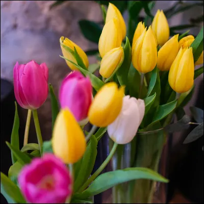 Quel est ton mois de naissance ?