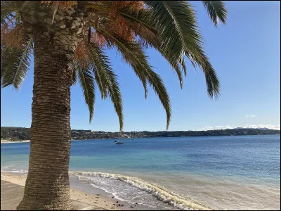 Quel est ton mois de naissance ?