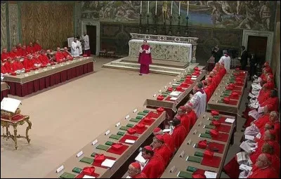 Quel est le nom donne-t-on à l'assemblée des cardinaux réunis pour élire un nouveau pape ?