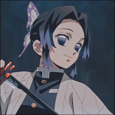 Dans quel animé est ce personnage ?